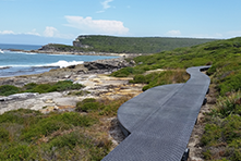 Footpath in Royal National Park with views to the ocean