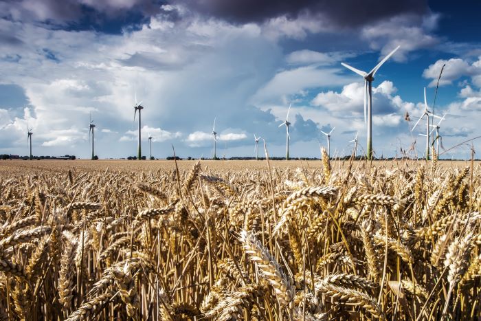 Image of wind turbines