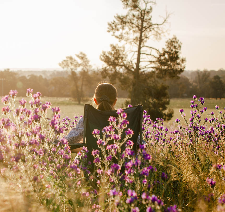 A person sitting on a chair looking at the sunset in a field of purple flowers