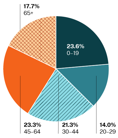 Population by age pie chart. Long description available.